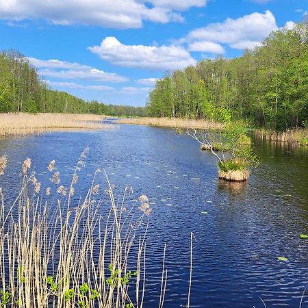 Nasze Podlasie, Domek W Dubiczach Cerkiewnych Dubicze Cerkiewne Екстериор снимка