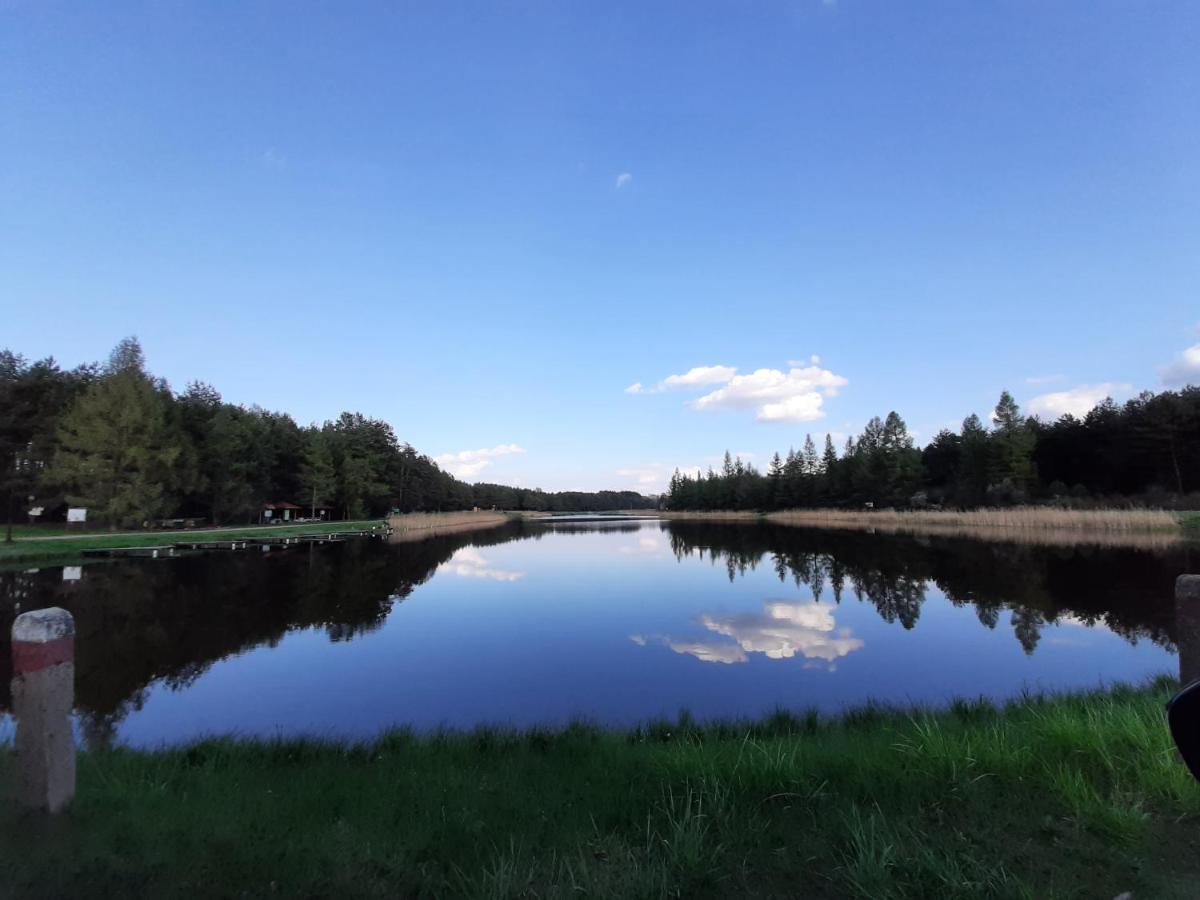 Nasze Podlasie, Domek W Dubiczach Cerkiewnych Dubicze Cerkiewne Екстериор снимка